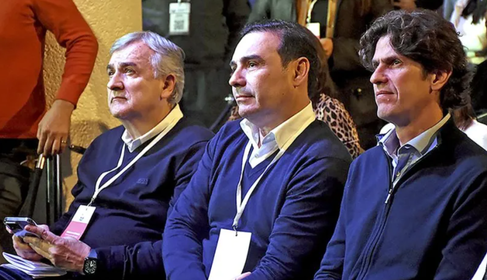 Valdés pidió reordenar al radicalismo y defendió el armado federal de Provincias Unidas