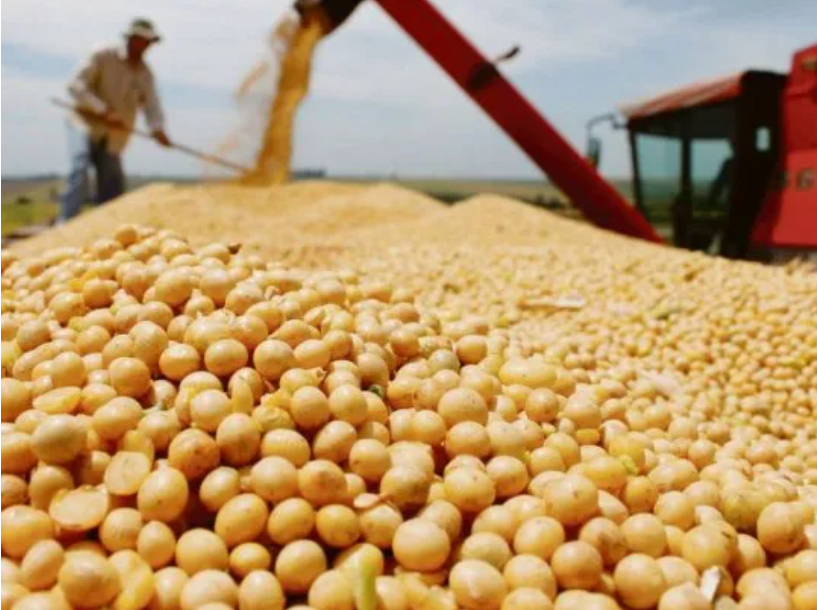 El Gobierno baja retenciones al agro: Caputo anunció reducciones para soja, trigo, maíz y otros cultivos