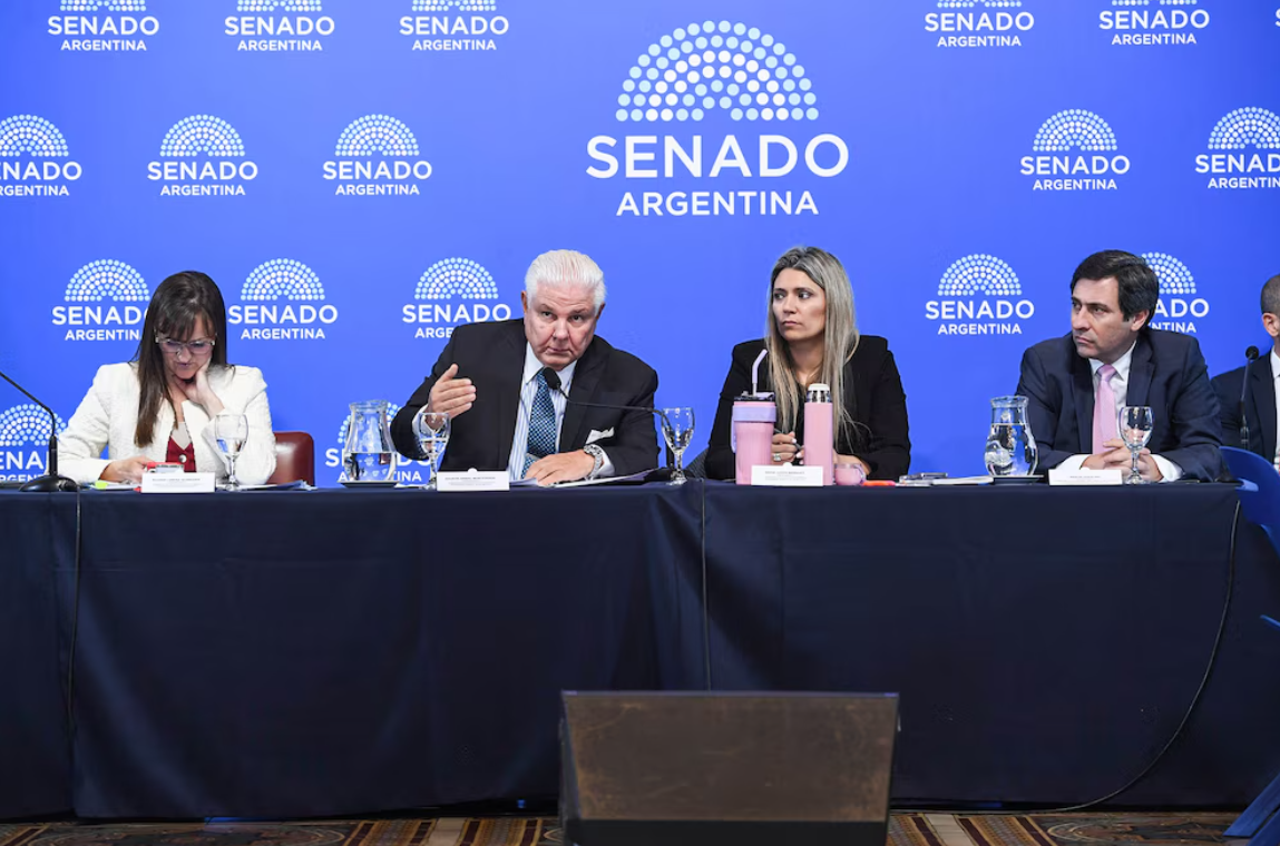El Súper RIGI quedó trabado en el Senado por cambios para proteger los insumos nacionales